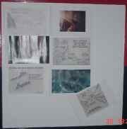 Information in Vietnam incident "Skunk Alpha".